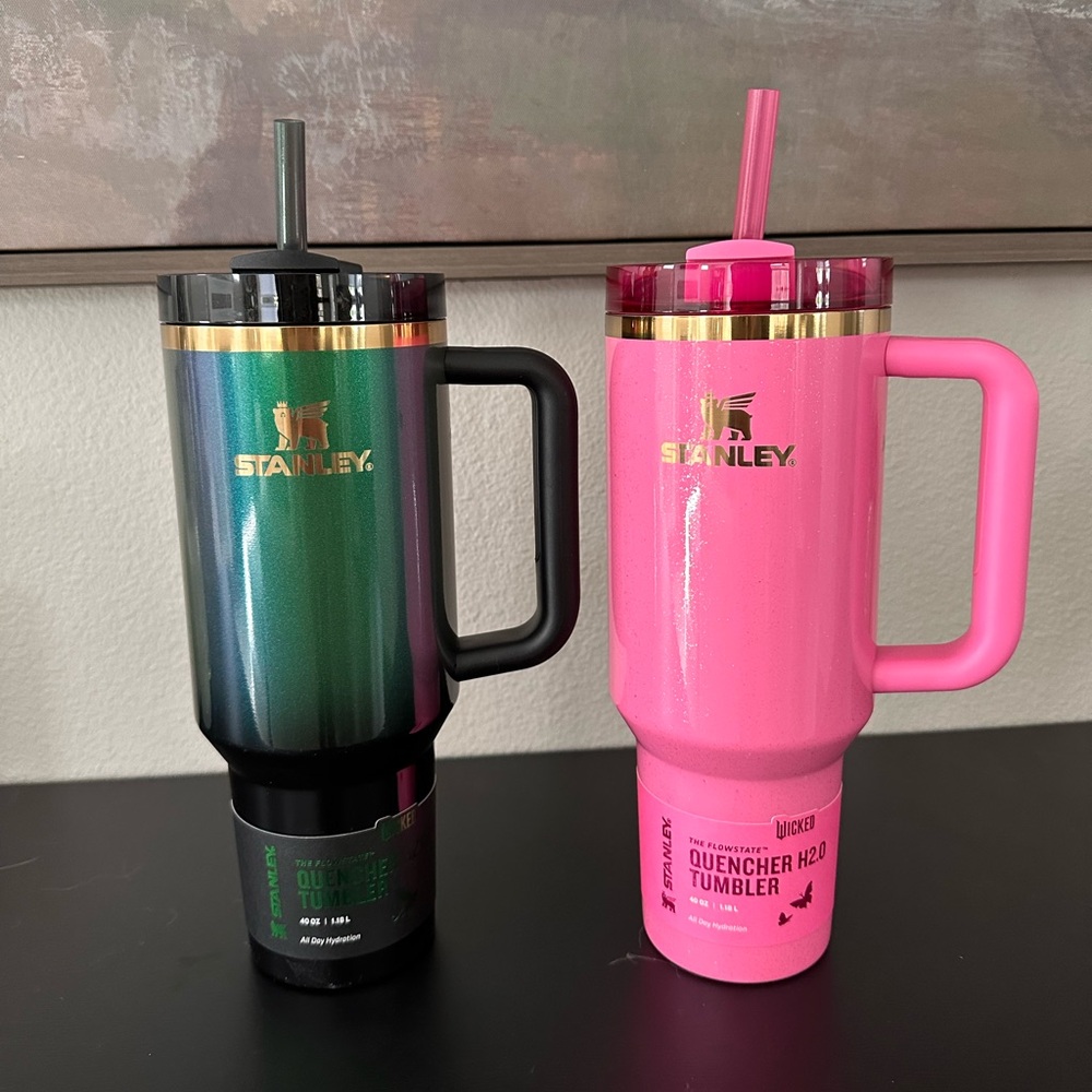 Stanley x wicked set